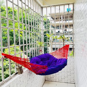 লাল নীল কালার রিং দোলনা