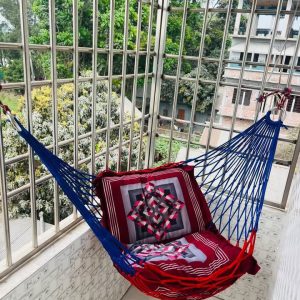 নীল লাল কালার রিং দোলনা
